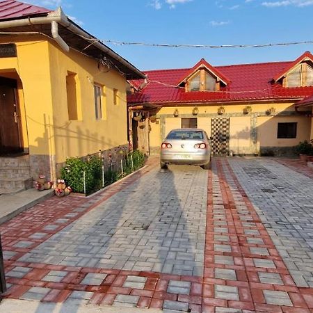 Pensiunea Casa Andreea Novaci-Străini Εξωτερικό φωτογραφία