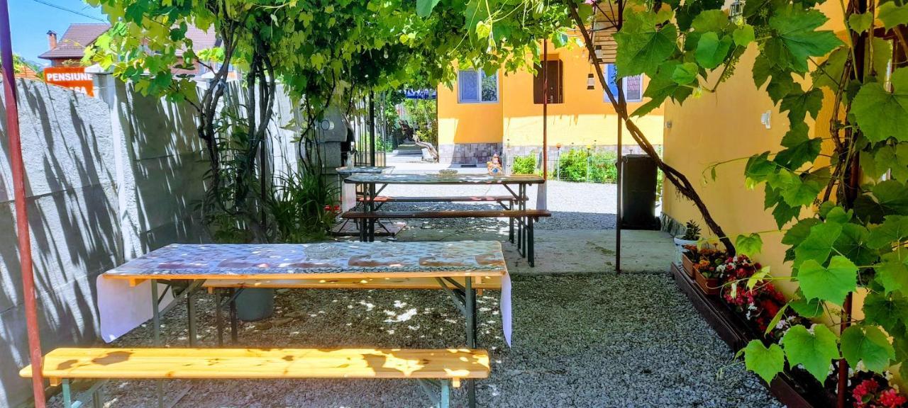Pensiunea Casa Andreea Novaci-Străini Εξωτερικό φωτογραφία