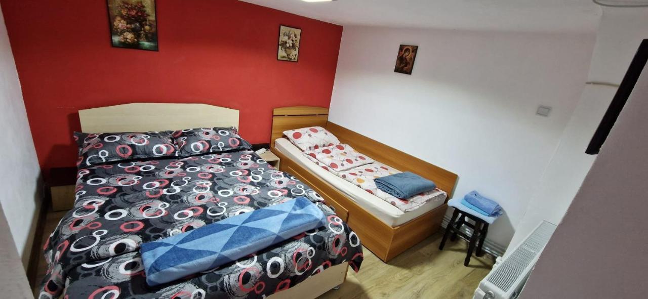 Pensiunea Casa Andreea Novaci-Străini Εξωτερικό φωτογραφία